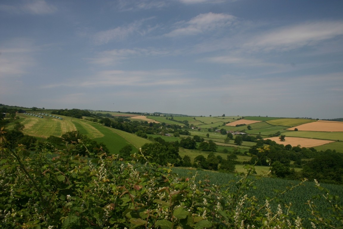 Countryside Near Exeter